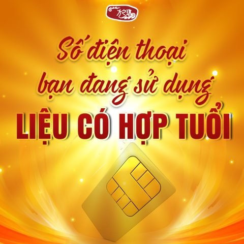 Một người phụ nữ trẻ đang xem số điện thoại trên điện thoại, bàn tay vuốt tóc, thể hiện sự cân nhắc khi xem số điện thoại có hợp tuổi không