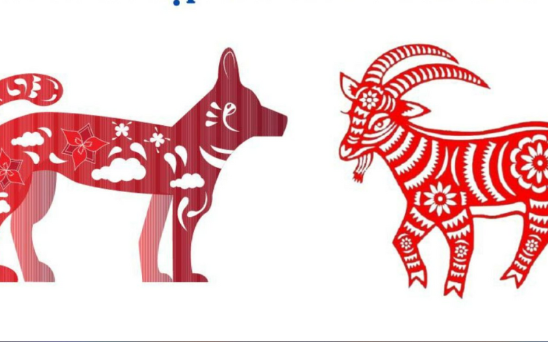 Xem xét Can Chi và Cung Mệnh trong mối quan hệ Mùi Tuất