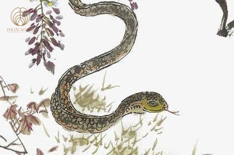 Ảnh hưởng của tháng sinh đến số mệnh tuổi Tỵ sinh ngày tháng nào tốt và sự nghiệp