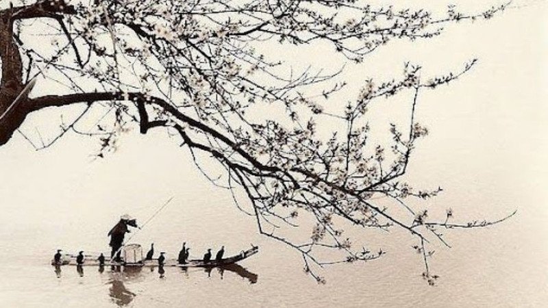 Biểu tượng lá số tử vi và các chính tinh ảnh hưởng đến cung Thiên Di