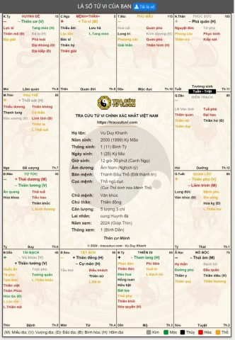 Cấu trúc tổng thể của một lá số tử vi với các cung và sao