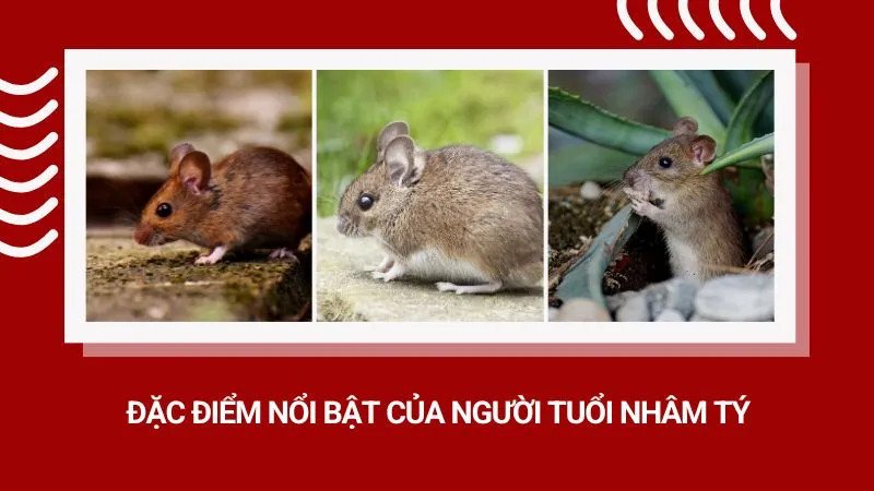 Đặc điểm nổi bật của người tuổi Nhâm Tý và ngày lành