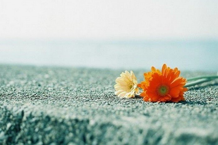 Dự báo chiêm tinh tuần mới