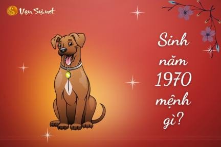 Giải mã mệnh, tuổi và màu sắc hợp với người sinh năm 1970 theo tử vi vạn sự net