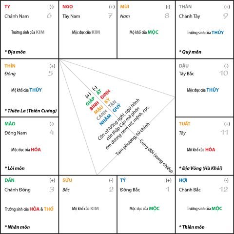 Hình ảnh một người đang nhìn vào một biểu đồ tử vi