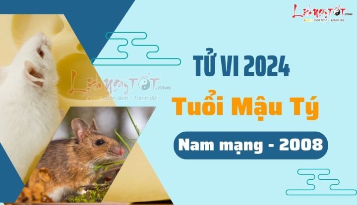 Luận giải tử vi tuổi Mậu Tý 2008 nam mạng năm 2024