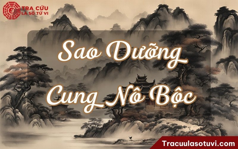 Mối quan hệ bạn bè của người có sao dưỡng ở cung Nô Bộc