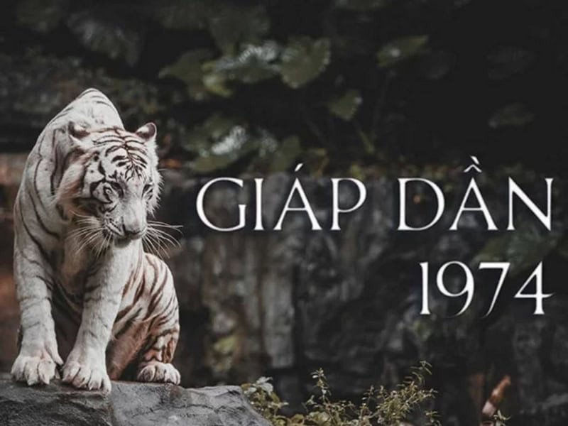 Mối quan hệ vợ chồng của tử vi tuổi Giáp Dần nam mạng dễ gặp mâu thuẫn năm 2025