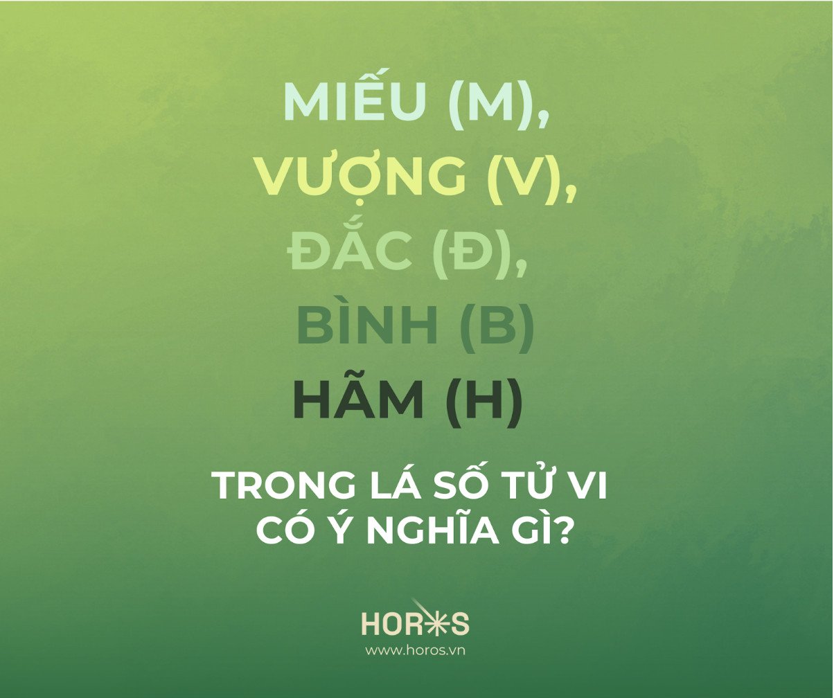 Một lá số tử vi với các cung vị và sao hãm địa
