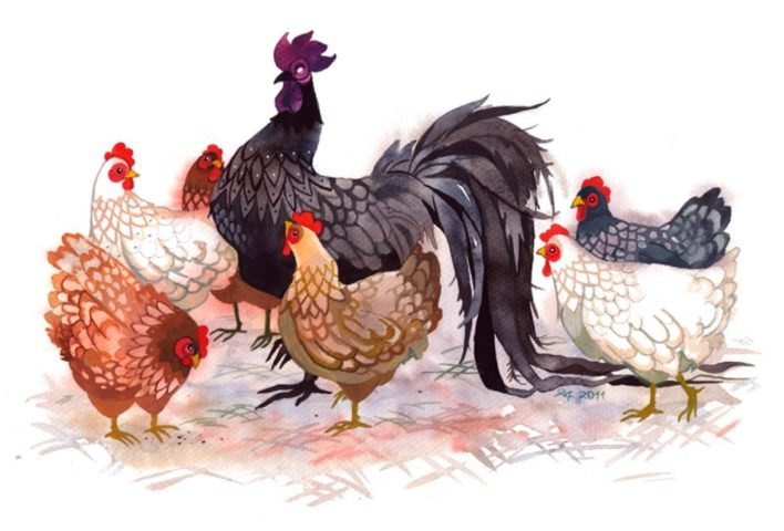 Nam mạng Quý Dậu 1993 đang suy tư về vận mệnh