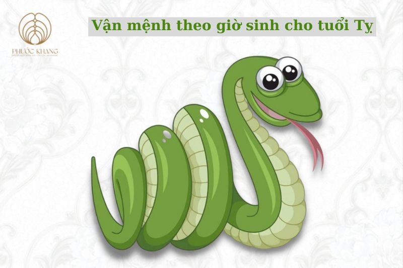 Phân tích vận hạn của tuổi Tỵ sinh ngày tháng nào tốt theo từng giờ sinh cụ thể