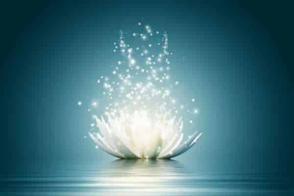 Phúc đức tử vi và yếu tố dòng họ