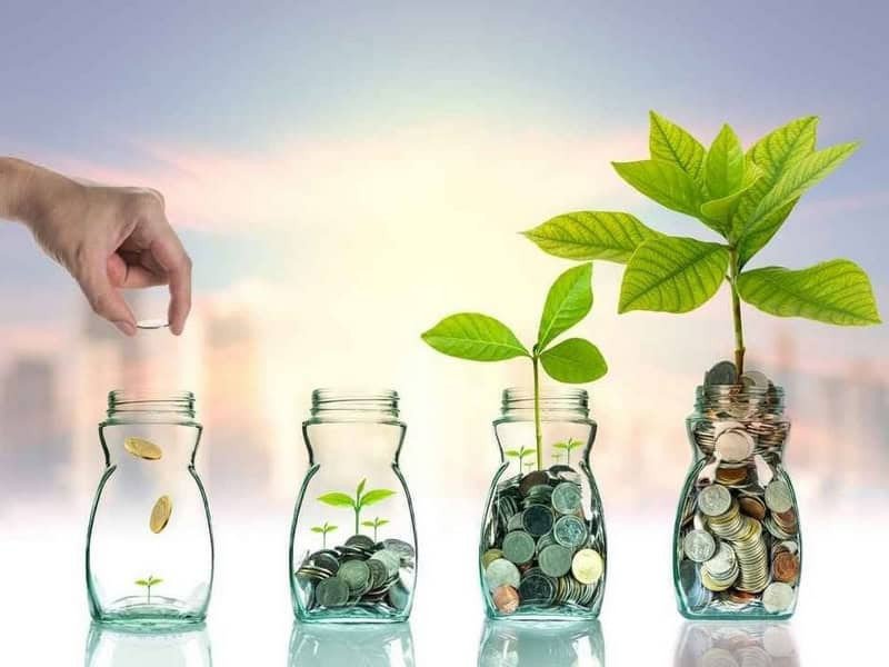 Quản lý tài chính hiệu quả cho tử vi tuổi Giáp Dần nam mạng năm 2025