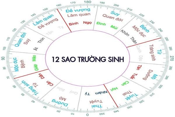 Sơ đồ minh họa 12 vòng trường sinh trong tử vi, các giai đoạn phát triển của vận mệnh con người