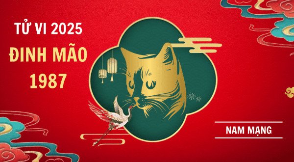 Tổng quan tử vi nam Đinh Mão 1987