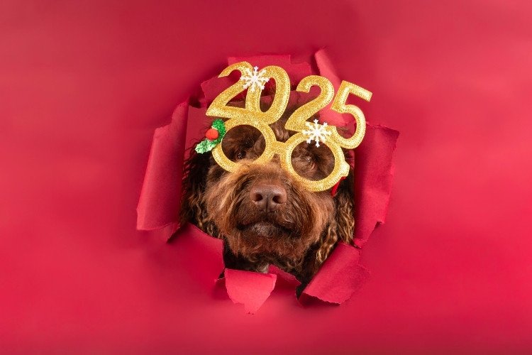 tra cứu ngày tốt năm mới