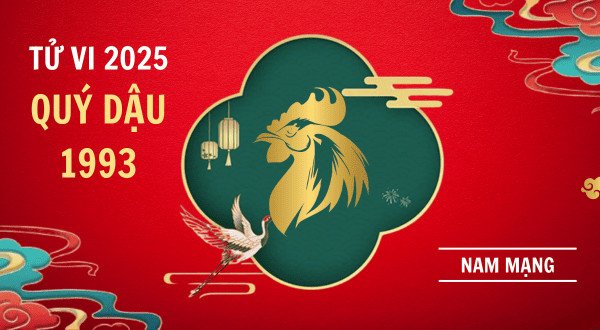 Tử vi 2025 Ất Tỵ tuổi Quý Dậu 1993 nam mạng