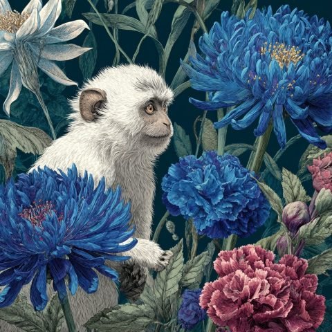 Tử vi 5 8: Luận giải vận mệnh và tâm linh ngày mới