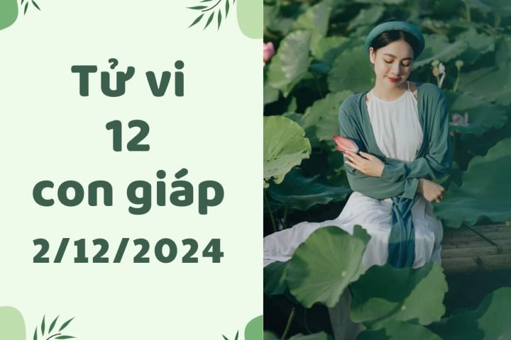 Tử vi vui