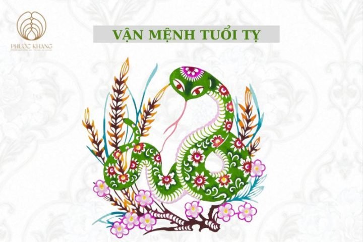 Vận mệnh chi tiết của người tuổi Tỵ sinh ngày tháng nào tốt theo phong thủy truyền thống