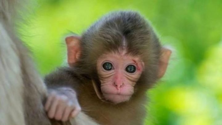 Màu sắc tương sinh mang lại may mắn cho sn 1992 tuổi con gì