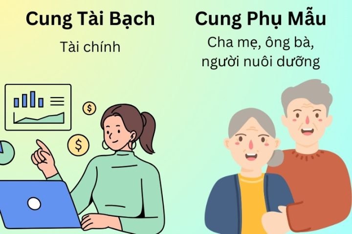 Cung Tài Bạch và Cung Phụ Mẫu - ý nghĩa tài lộc và gia đình