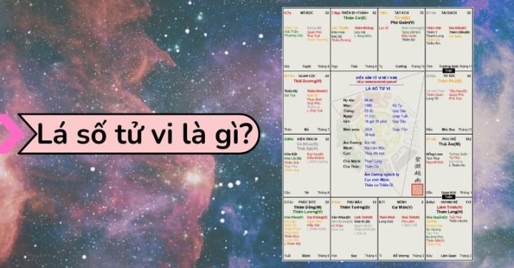 Cung Nào Quan Trọng Nhất Trong Tử Vi Để Luận Giải Vận Mệnh?