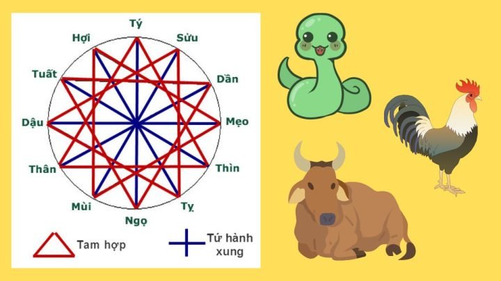 Bộ ba Tam Hợp Tỵ, Dậu, Sửu mang lại may mắn cho người 1985