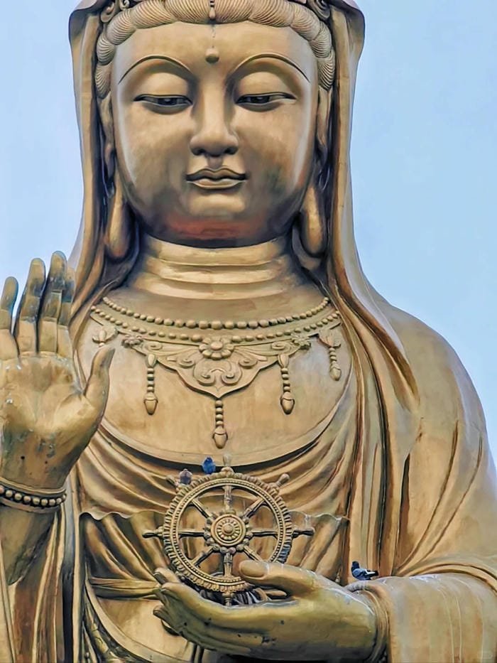 Phật Quan Âm tĩnh tâm