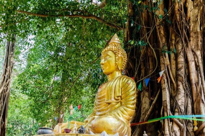 ảnh Phật Thích Ca giác ngộ