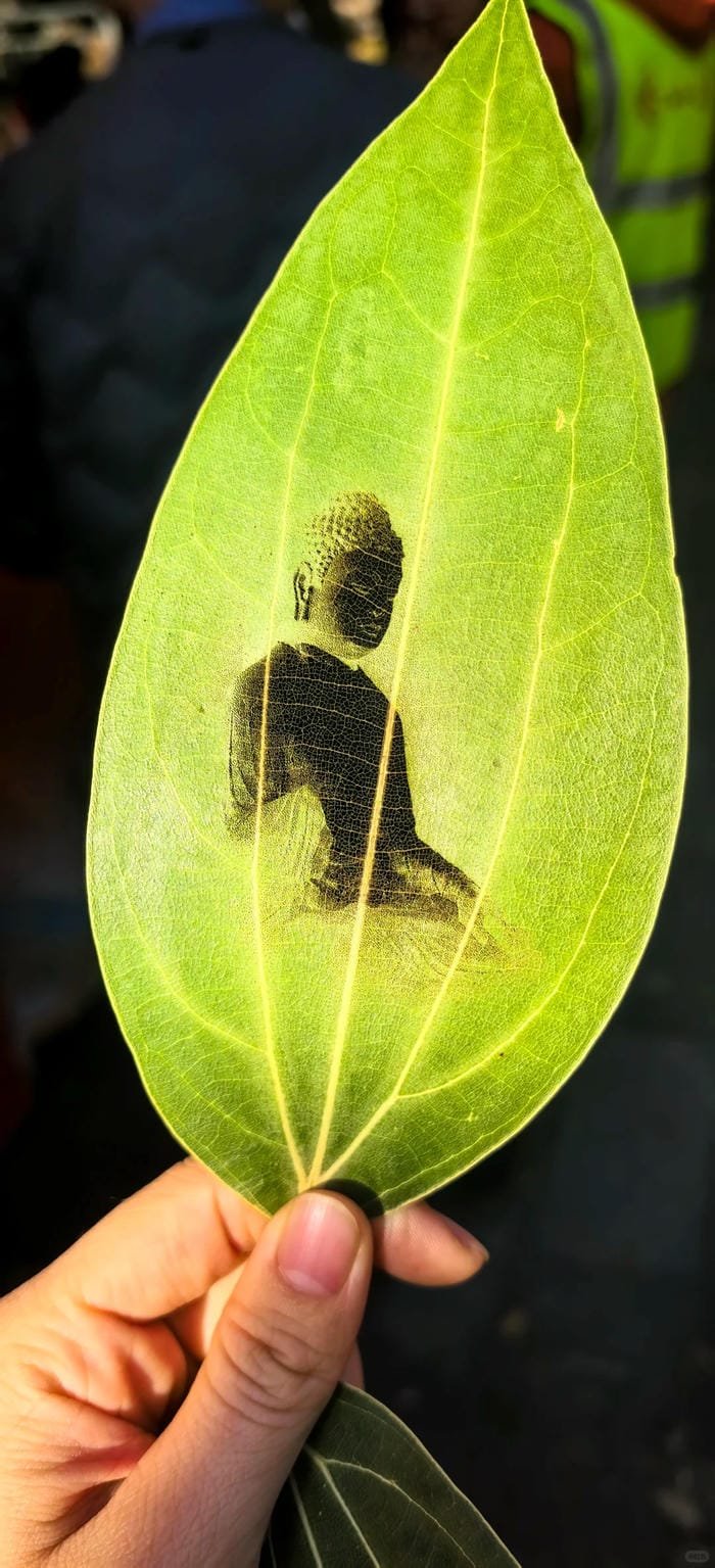 ảnh Phật Thích Ca lá bồ đề