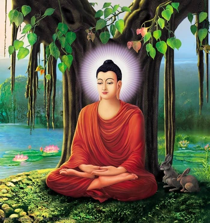 ảnh Phật ngồi dưới gốc cây bồ đề