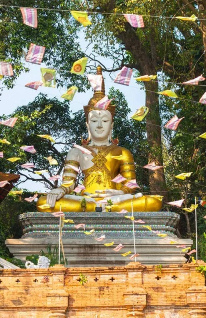 ảnh Phật ngồi tĩnh tâm dưới bồ đề