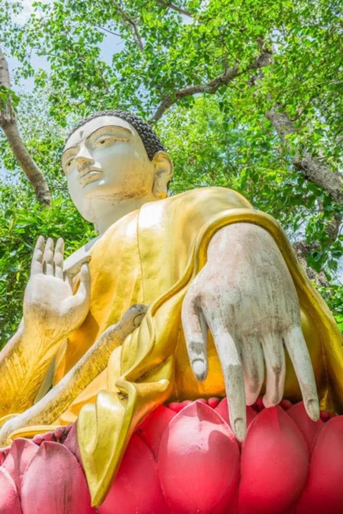ảnh Phật ngồi trên thảm cỏ dưới bồ đề