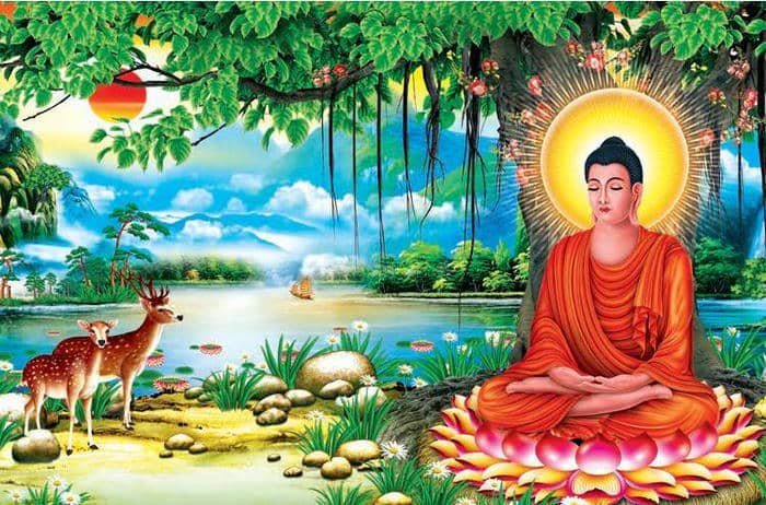 ảnh Phật thiền dưới bóng râm