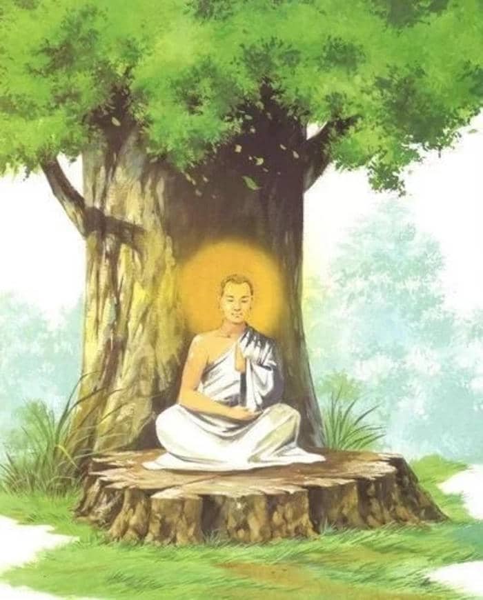 hình Phật dưới cây bồ đề cổ thụ