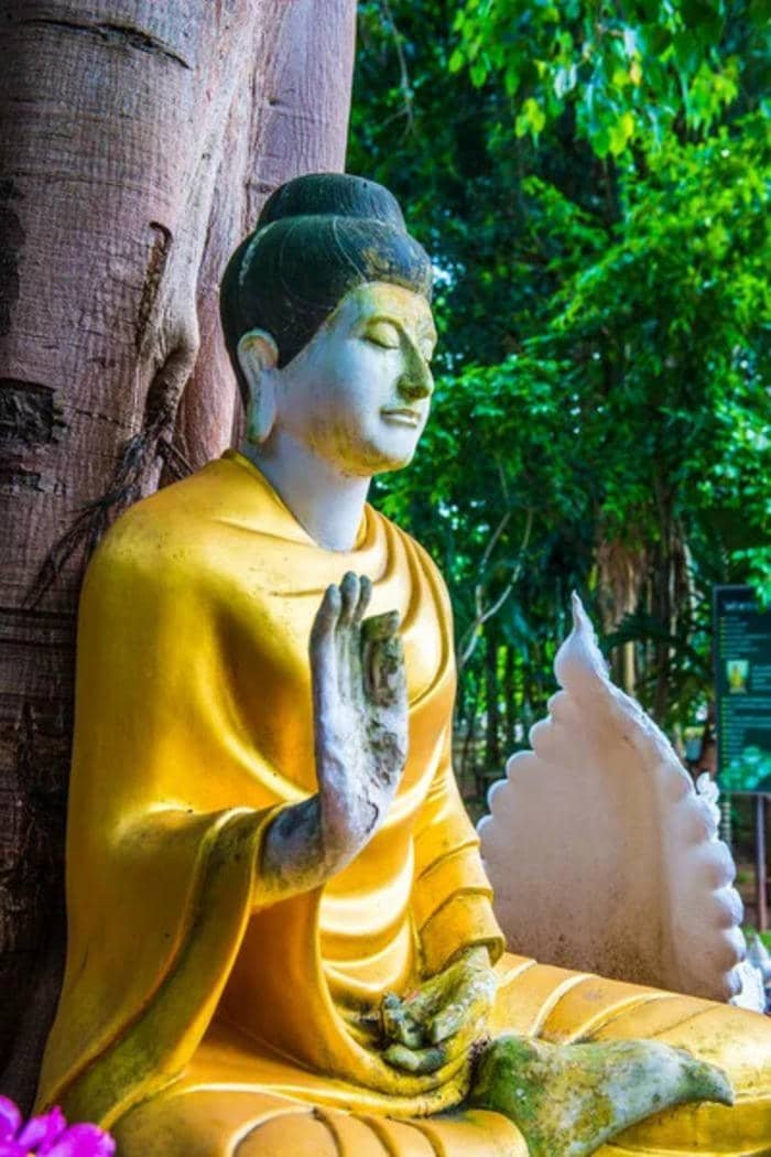 hình Phật ngồi dưới tán lá bồ đề