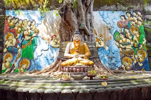 hình cây bồ đề linh thiêng và tượng Phật