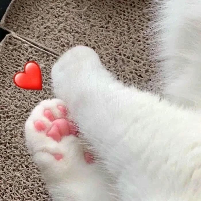 hình meme thả tim dễ thương