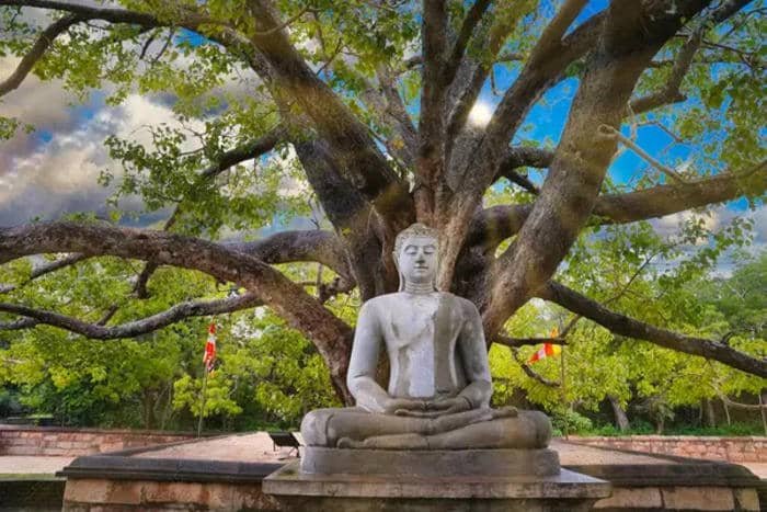 hình tượng Phật dưới bồ đề nghệ thuật