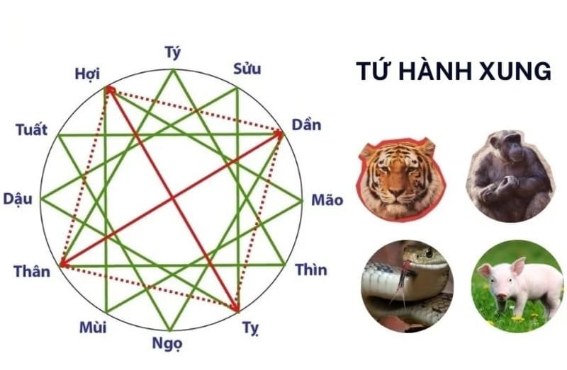 Ảnh Hưởng Của Sự Xung Khắc Tuổi Đến Đời Sống Thực Tế