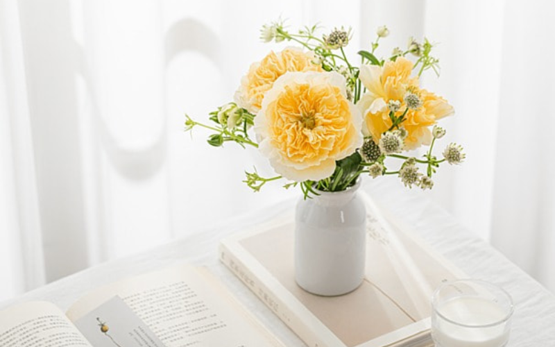 Chủ Động Nắm Bắt Cơ Hội và Hóa Giải Vận Hạn