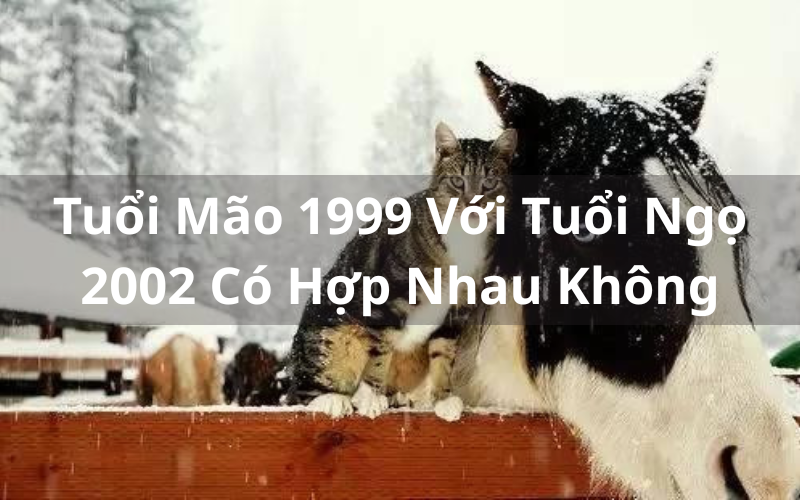 Luận Giải Tuổi Mão 1999 Với Tuổi Ngọ 2002 Có Hợp Nhau Không