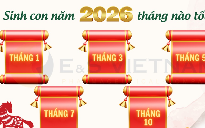 Màu Sắc, Hướng Nhà Và Vật Dụng Phong Thủy Hợp Bé Bính Ngọ 2026