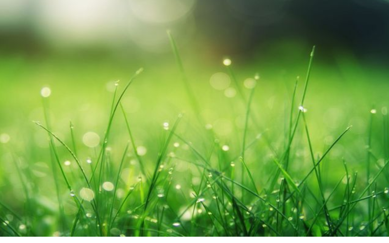 Tầm Quan Trọng của Lịch Vạn Niên