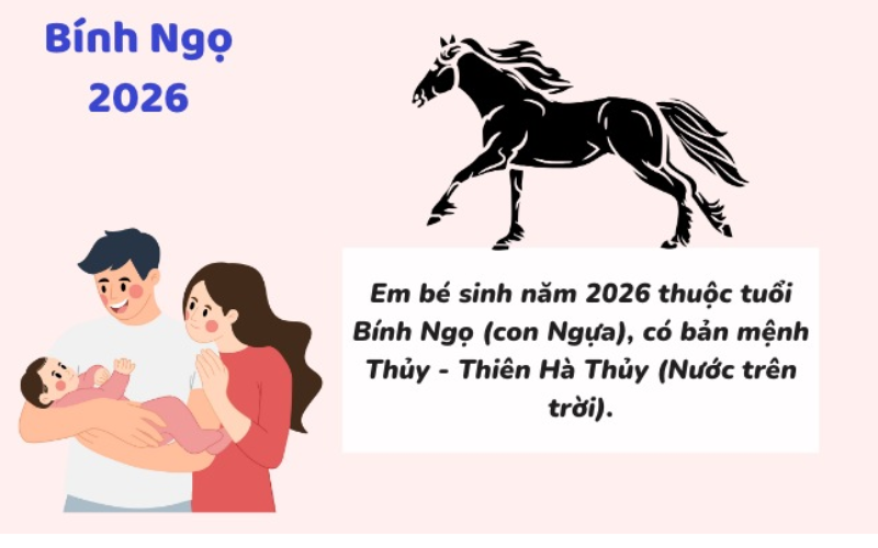 Tìm hiểu tổng quan về bé Bính Ngọ 2026