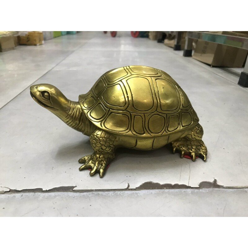 Tượng rùa Kim Quy trưng bày trong không gian nhà, mang ý nghĩa phong thủy tốt lành