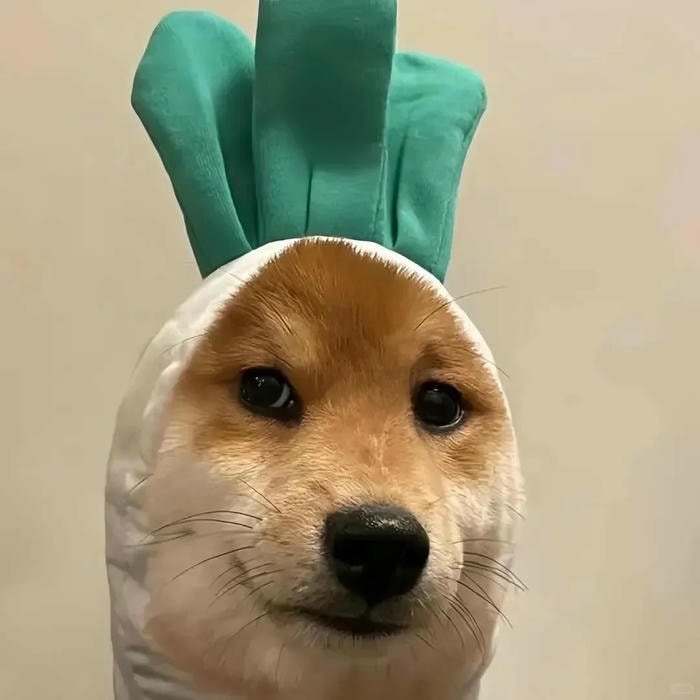 ảnh avatar cute viral