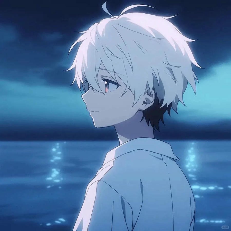 ảnh avatar đôi anime nhẹ nhàng (2)