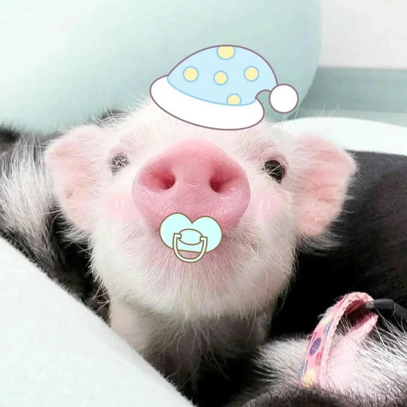 avatar cute dễ thương anime